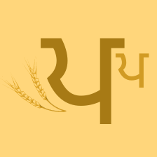 Punjabi Playground Logo